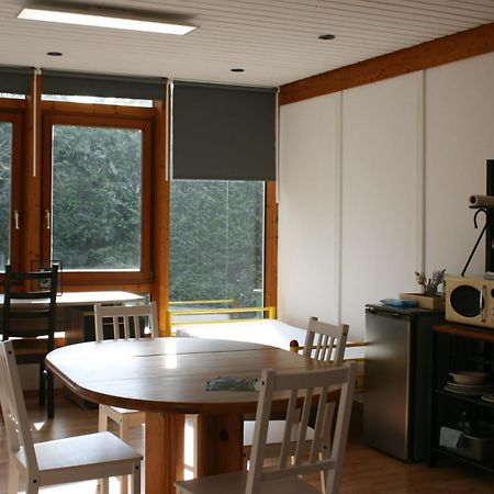 Gemuetliches Grosszuegiges Apartment Höhr-Grenzhausen Dış mekan fotoğraf