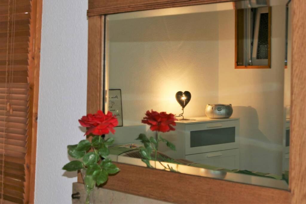 Gemuetliches Grosszuegiges Apartment Höhr-Grenzhausen Dış mekan fotoğraf