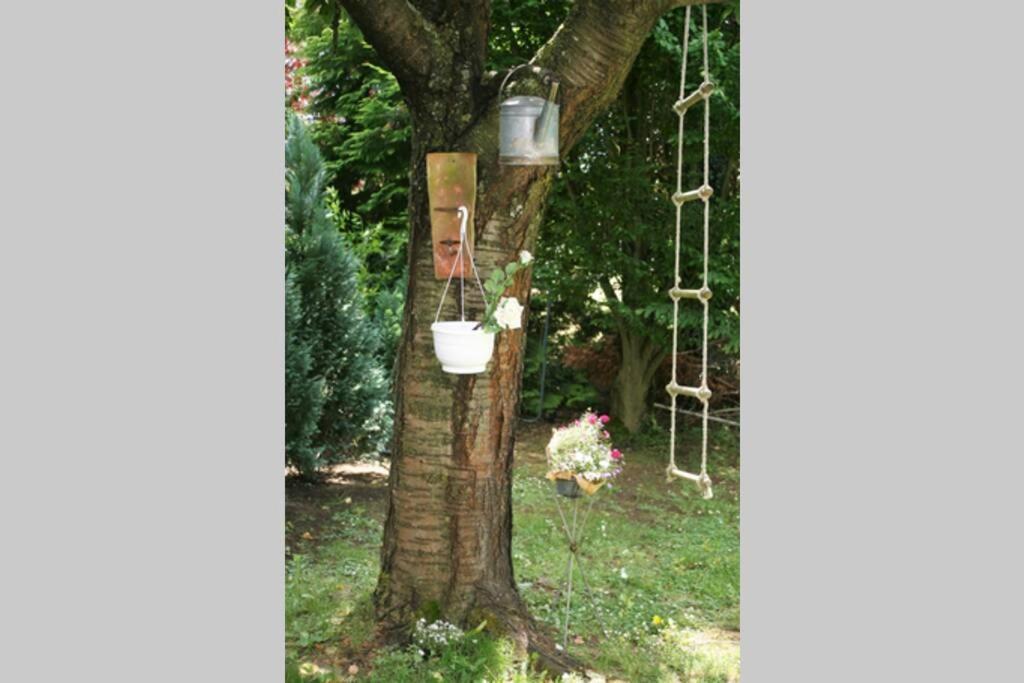 Gemuetliches Grosszuegiges Apartment Höhr-Grenzhausen Dış mekan fotoğraf